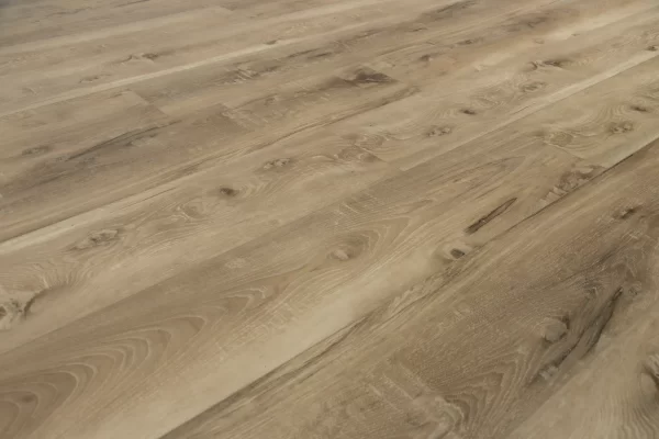 seaboard oak